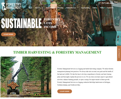 Web Design Portfolio Examples Indiana